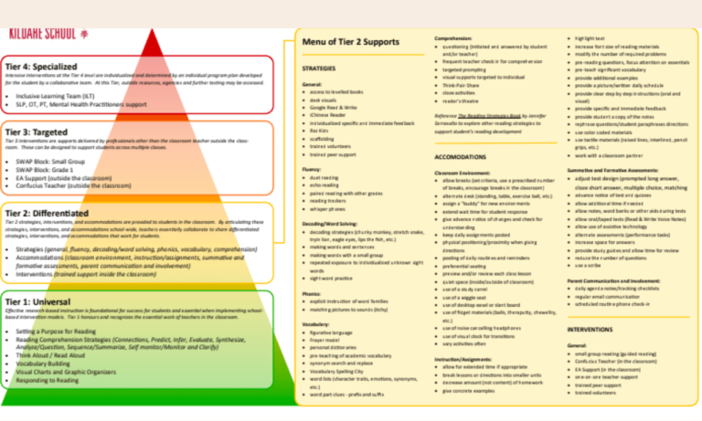 Strategic Educational Interventions