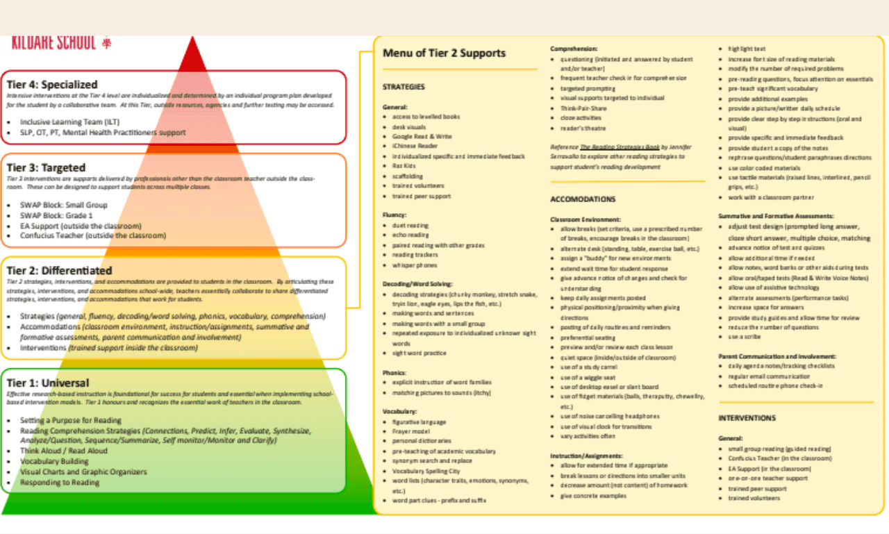 Strategic Educational Interventions