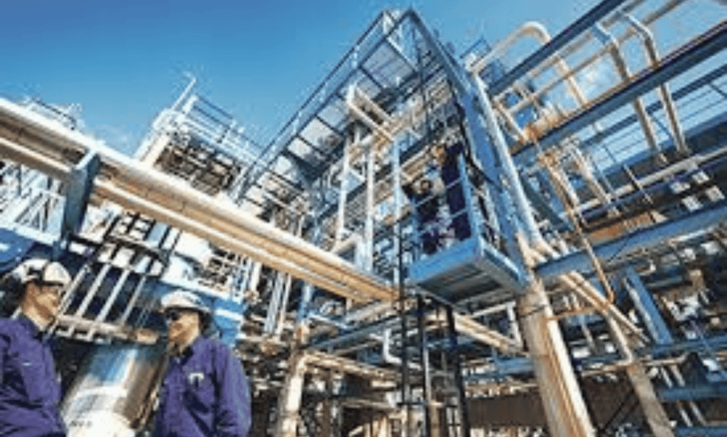 System Scaffolds