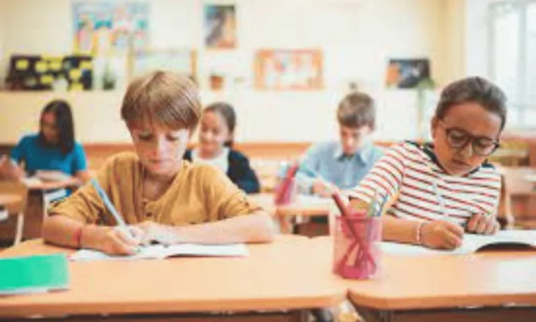 Effective Learning Support Strategies for Success 136 Learning Support Strategies