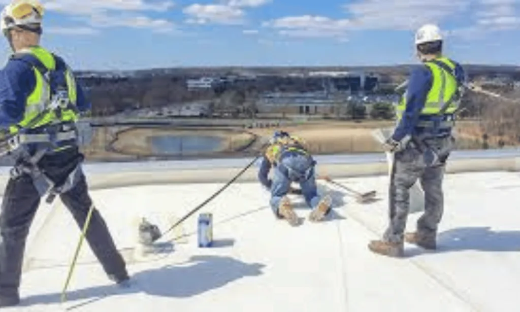 Safety Essentials: Personal Fall Arrest Systems 1 Personal Fall Arrest Systems