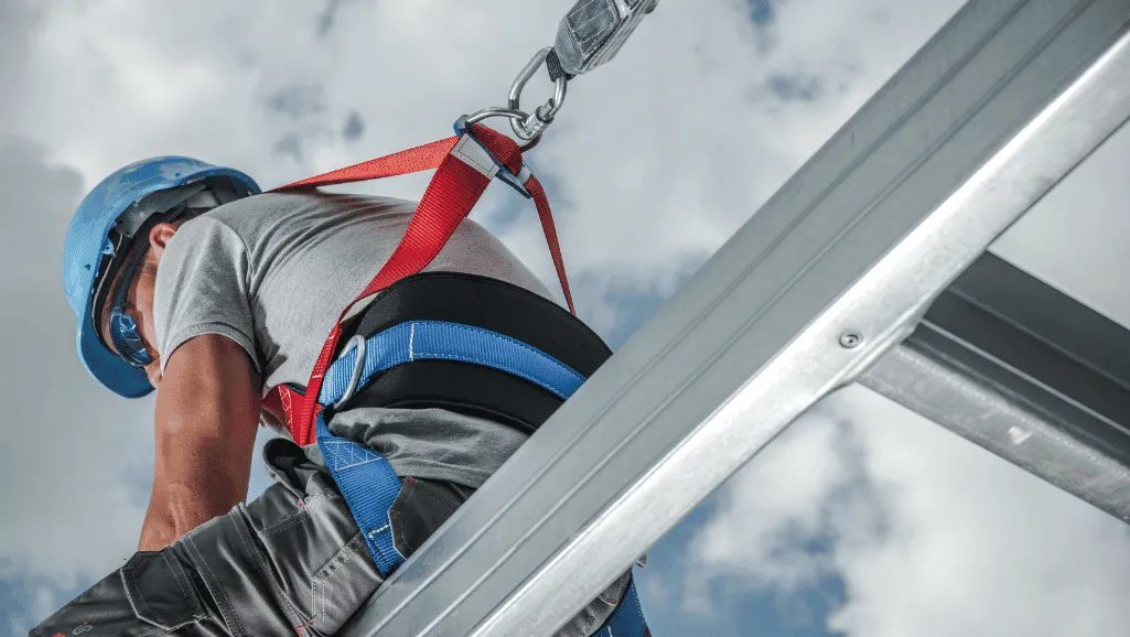 scaffolding safety protocols Universal safety harnesses with adjustable straps