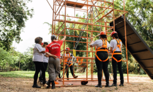 Scaffolding Training