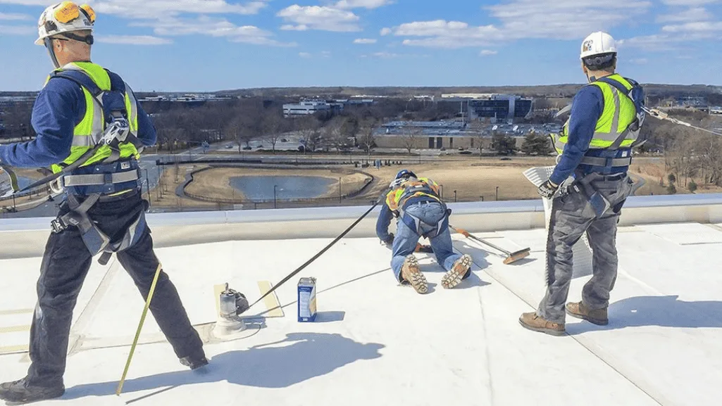 Fall protection systems