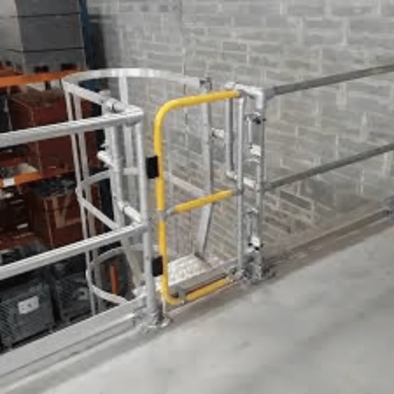 Ladder Access Gate